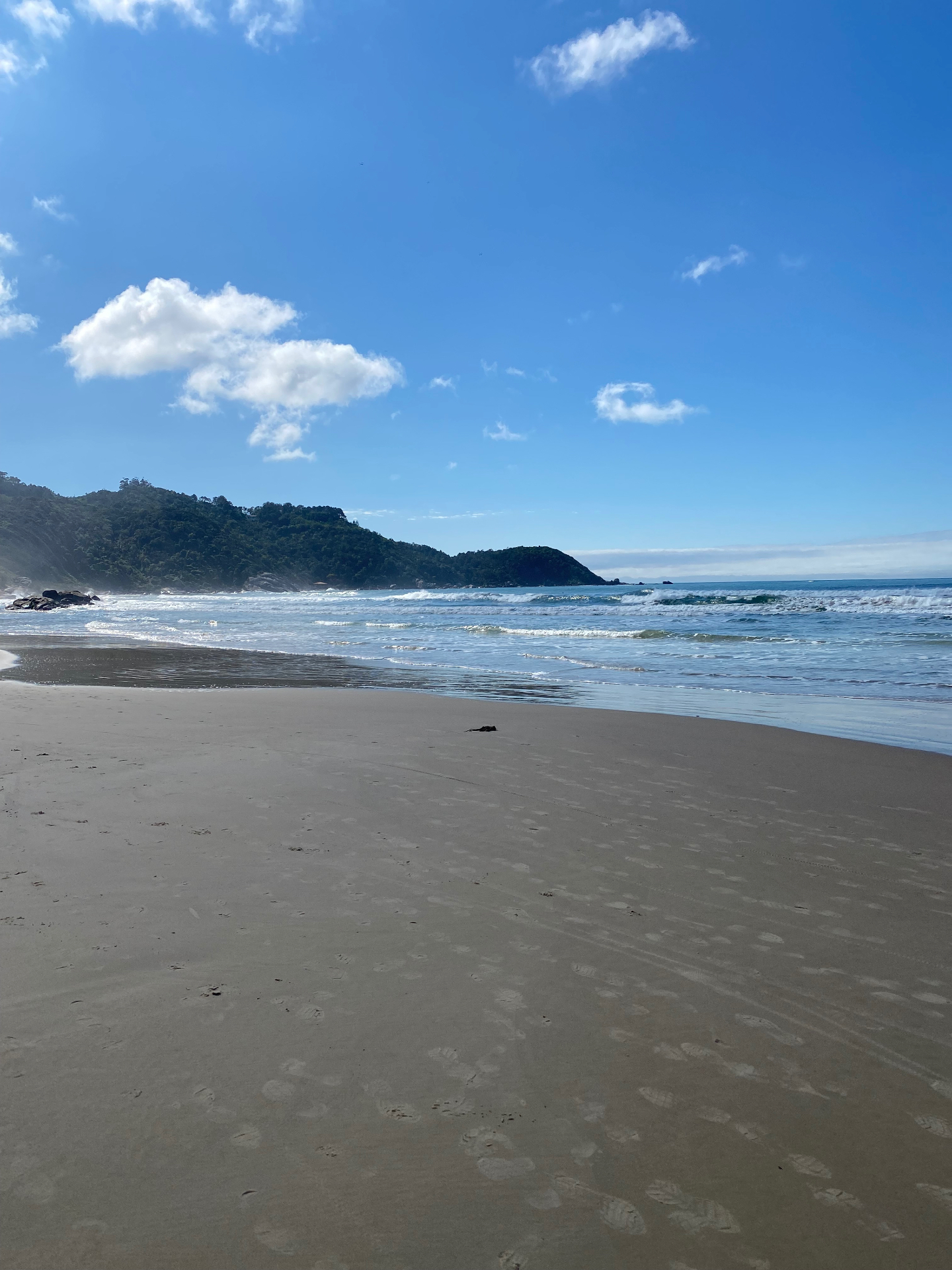 Mariscal